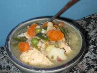 Vegetable Chicken Stew