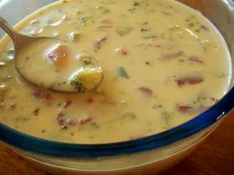 Weight Watchers Yummy Cheese Soup (Easy Too)