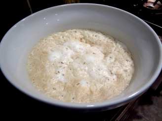 Sourdough (Feed and Starter)
