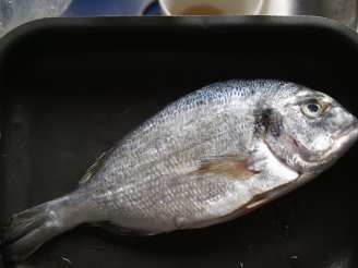 Roasted Fish (Eg: Sea Bream)