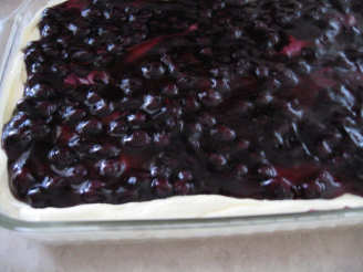 Blueberry Cheesecake Pudding Cake