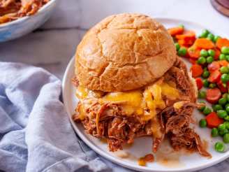 Barbecue Cookout Pulled Pork