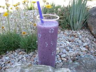 Healthy Blueberry Milkshake