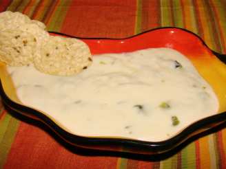 Queso Poblano or Jalapeno Dipping Sauce