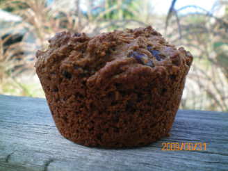 Bran Flax Seed Cranberry Muffins