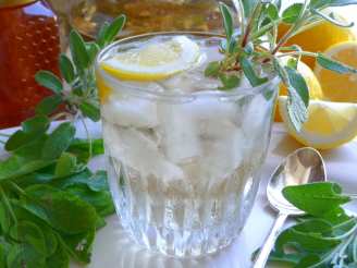 Pineapple Sage Tea - Hot or Iced