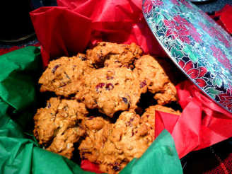 Cranberry Pecan Oat Cookies