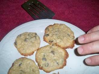 Raisin Oat Cookies