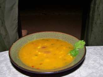 Spicy Savory Pumpkin Soup