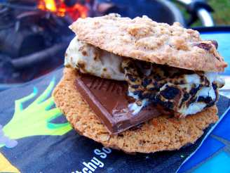 Oatmeal Chocolate Chip Raisin Cookie S'mores