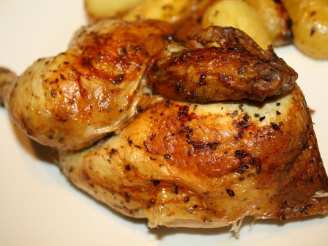 Roasted Greek Style Chicken