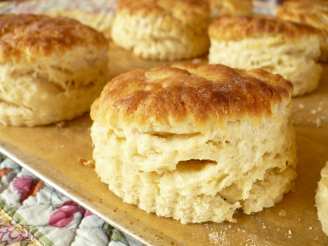 Savory Cheese and Herb Biscuits