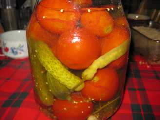 Russian Tomatoes and Gherkins