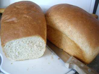 Milk and Honey Wheat Bread