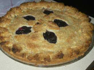 Double Crusted Blueberry Cranberry Pie