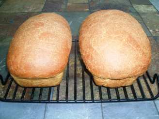 High Rising Whole Wheat Commercial Yeast  Bread