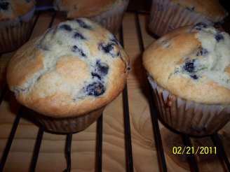 Jumbo Large Top Chocolate Chip (Or Blueberry) Muffins