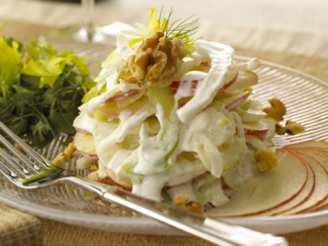 Goat Cheese Fennel Apple Salad