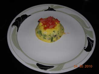 Easy Microwave Omelet