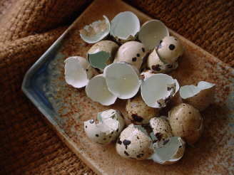 Quail Eggs With Celery Salt