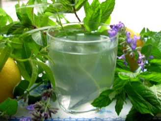 Lemon Verbena and Mint Tea - French Verveine and Mint Tisane