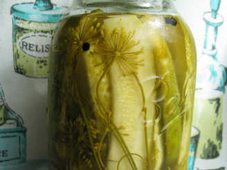 Classic Dill Pickles (Refrigerator)