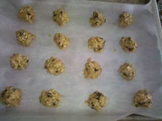 Rissani's Chewy Chocolate Chip Oatmeal Cookies