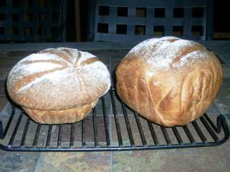 Non-Dense Delicious Whole Wheat Bread