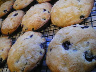 Jordan Marsh Famous Blueberry Muffins