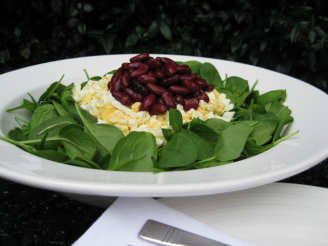 Spinach and Red Kidney Bean Salad