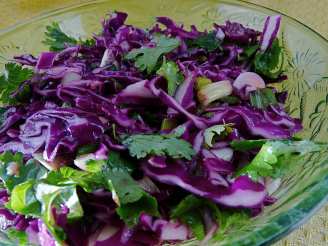 Raw Vegan Red Cabbage Salad