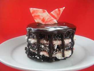 Mini Dark Chocolate Fudge Peppermint Cakes