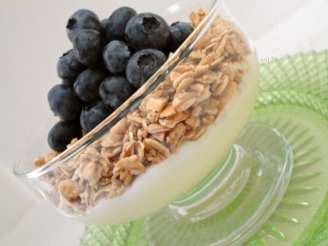 Blueberry Granola Yogurt
