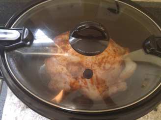 Crock Pot Rotisserie Style Chicken