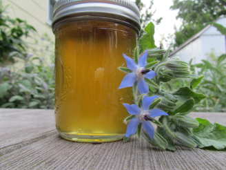 Borage Cucumber Jelly With Ginger