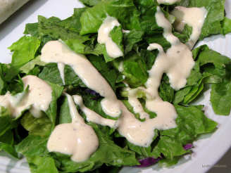 Spicy Fat Free Ranch Dressing