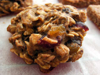 Vegan Oatmeal Raisin Cookies (Healthy Version)
