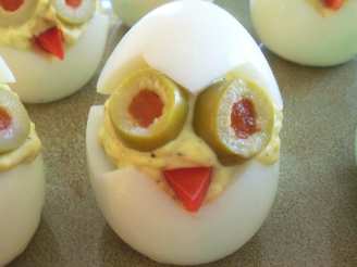 Cute Little Egg Chicks
