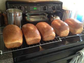 Angela's Amazing Whole Wheat Bread