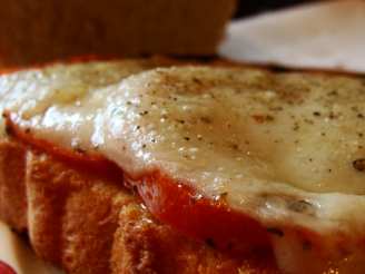 Roasted Tomato and Swiss Cheese Sandwich