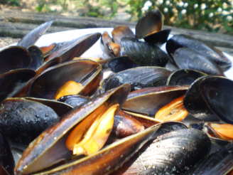 Steamin' Mussels