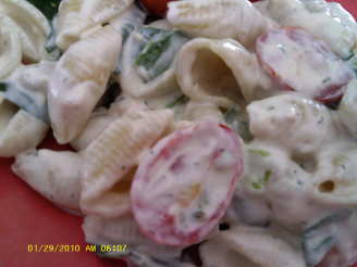 Salmon Shell Pasta Salad