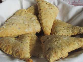 Bush Tomato Damper