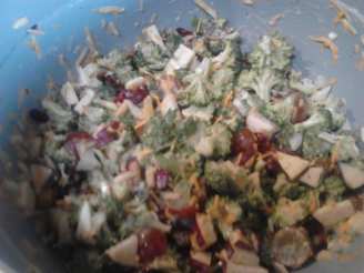 Jen's Summer Fruit & Nut Broccoli Salad
