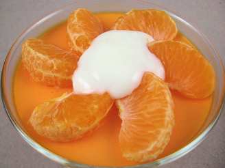 Orange Velvet Gelatin-Yogurt Mousse