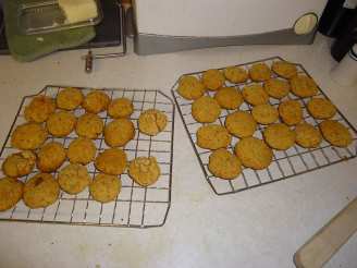 Iris's Low Protein Dog Cookies