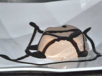 Chocolate Yogurt Panna Cotta