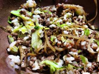 Ground Meat and Burdock Root over Rice