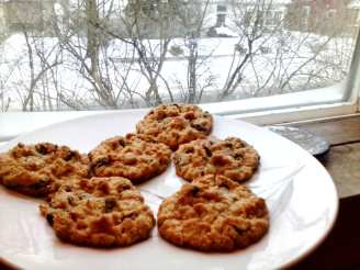 Ryker's Island Oatmeal Raisin Cookies