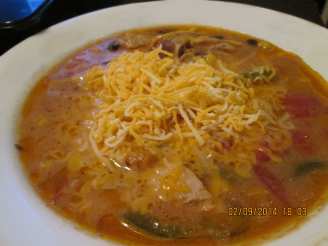 Chicken Enchilada Soup -Crockpot